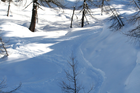 Českého snowboardistu zasypala lavina v Gruzii