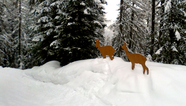 Winter season San Martino di Castrozza