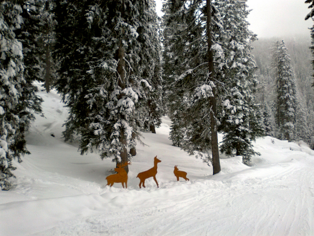 Winter season San Martino di Castrozza