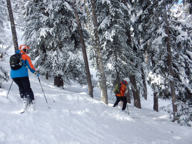 TEST Lyžařská a snowboardová helma Crivit Kilp