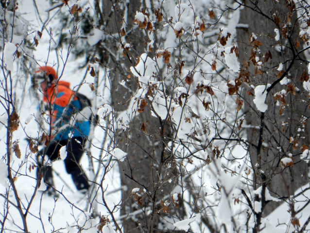 TEST Lyžařská a snowboardová helma Crivit Kilp