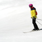 Lyžařská a snowboardová mistrovství světa 2023