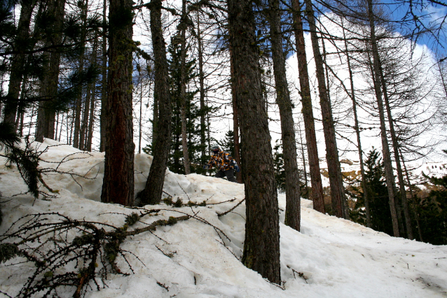 Livigno freeride - terénní lyžování