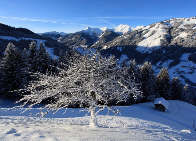 Großarl-Dorfgastein: lyže, sáňky a alpská idyla