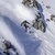 Nendaz Freeride 2022: the full climax of the grand final this Saturday on Mont-Gond Nendaz Freeride 2022: the full climax of the grand final this Saturday on Mont-Gond