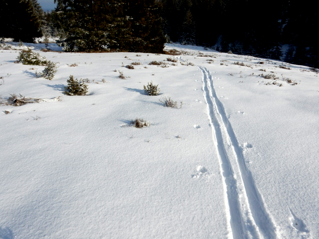 Dopadovou plochu Tok křižuje lyžařská stopa..