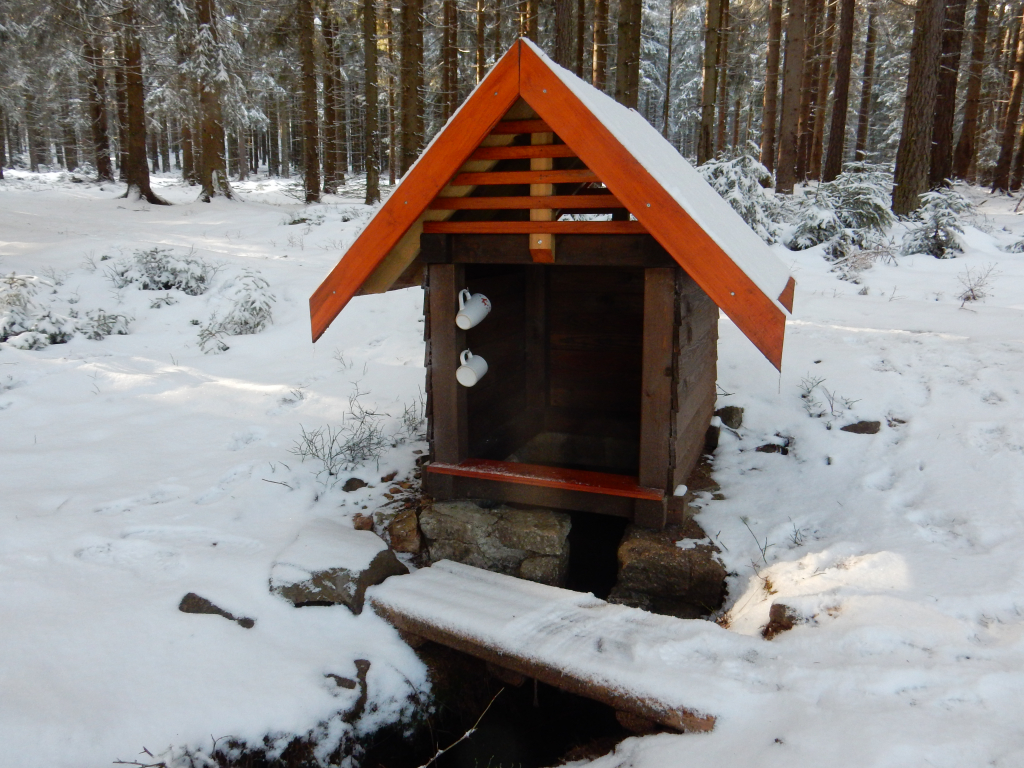 Studánka U břízy pod Tokem.