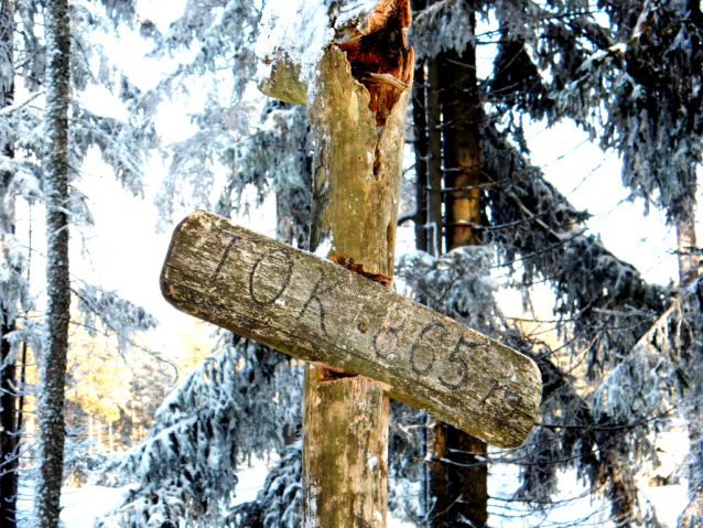 Tok (865 m) je nejvyšší v Brdech