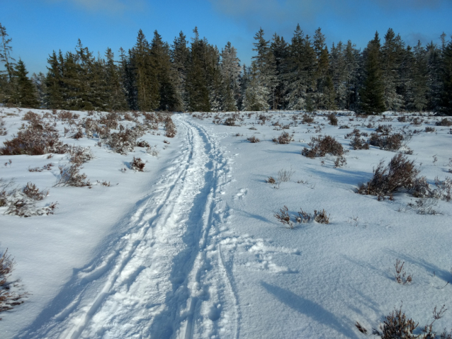 Tok (865 m) je nejvyšší v Brdech