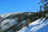 Byl jsem dnes s paní na skialpech v Krkonoších Byl jsem dnes s paní na skialpech v Krkonoších