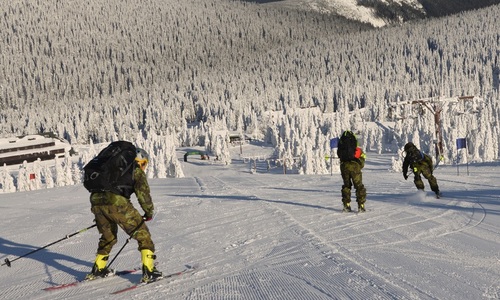 V Karlově spadla lanovka i s lyžařem V Karlově spadla lanovka i s lyžařem