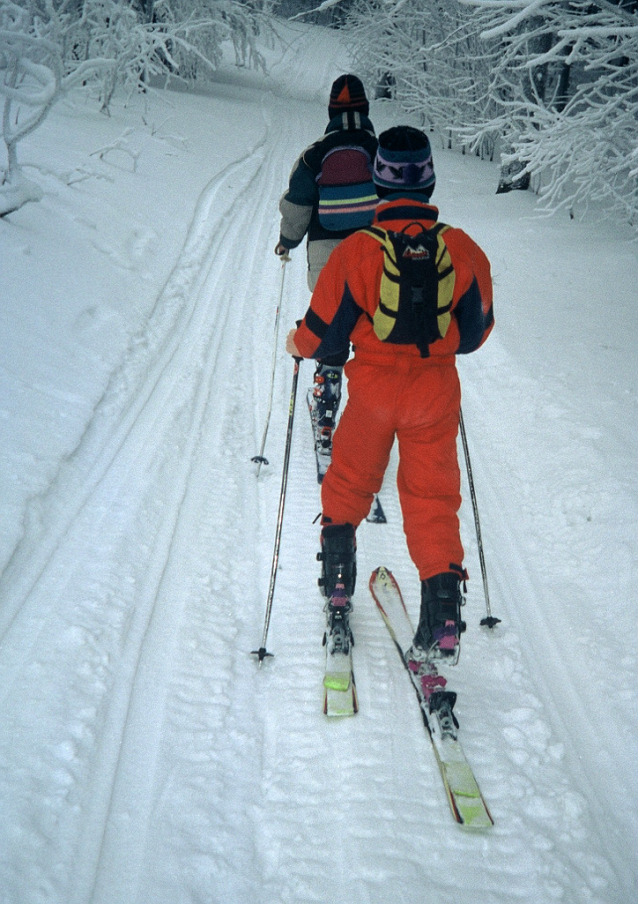 TEST Vložky na příležitostný skialp