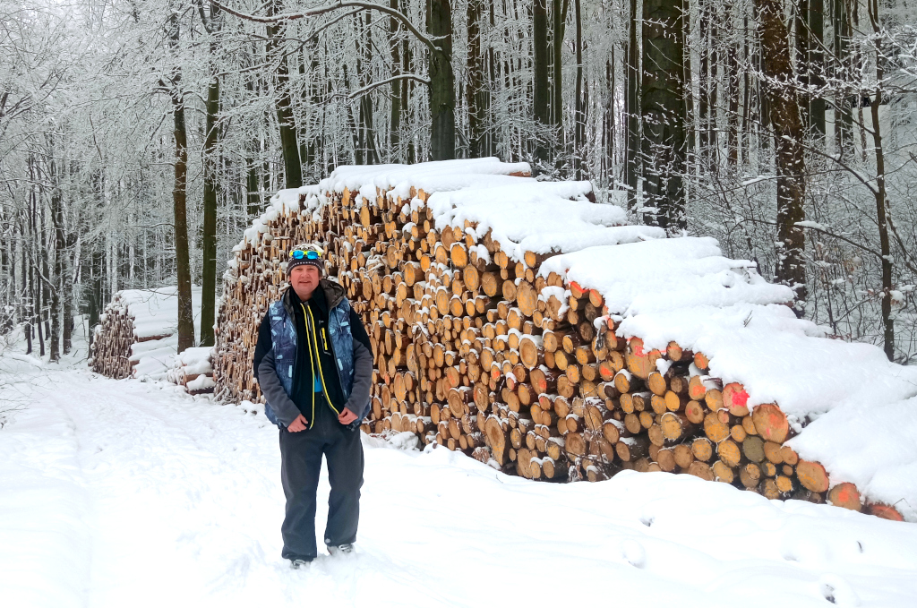 Dřevo připravené k odvozu ve svahu Vápenného v Ještědském hřebenu.