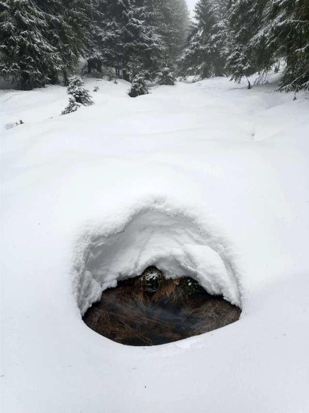 Skialp víkend na Králickém Sněžníku a v Krkonoších