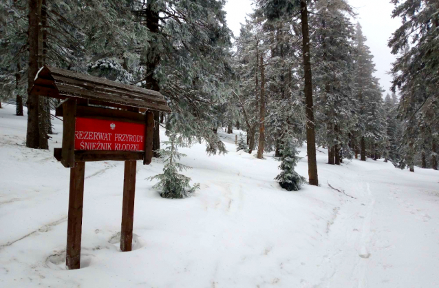 Skialp víkend na Králickém Sněžníku a v Krkonoších