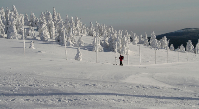 Lyžařský výlet na Lysou horu a do Rokytnice na skialpech