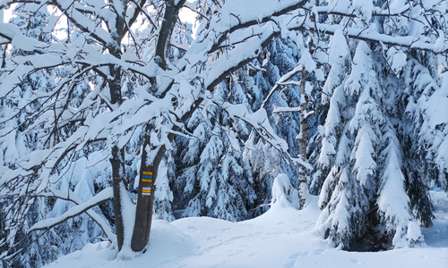 Divoká strouha z Kotelského sedla v zimě na lyžích