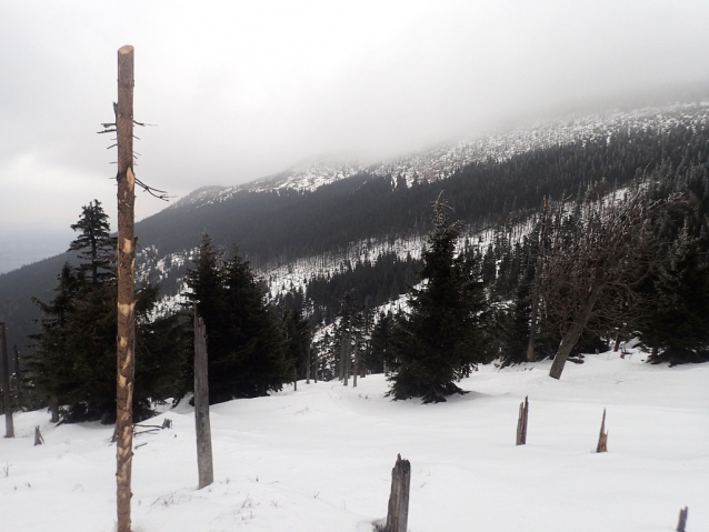 Trampové na skialpech sjeli Sněžku, podívali se do Soví doliny a na Dlouhý hřeben