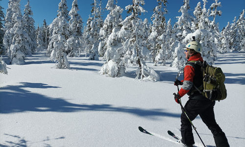 Skialpinistické vázání: rámové nebo pinové?