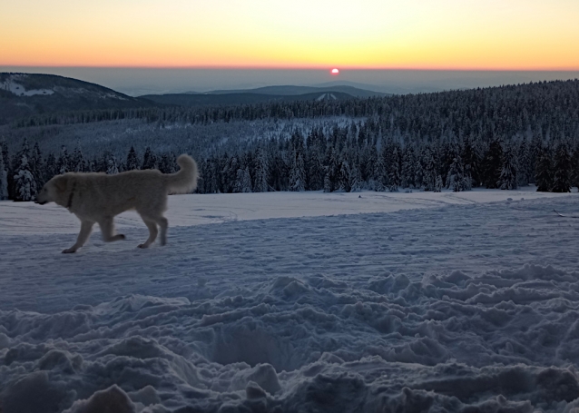 Ze Szrenice do Harrachova na skialpech