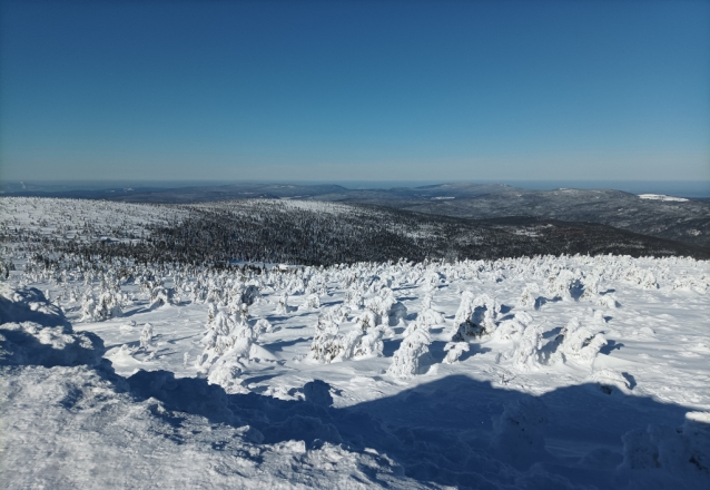 Vosecká bouda v Krkonoších