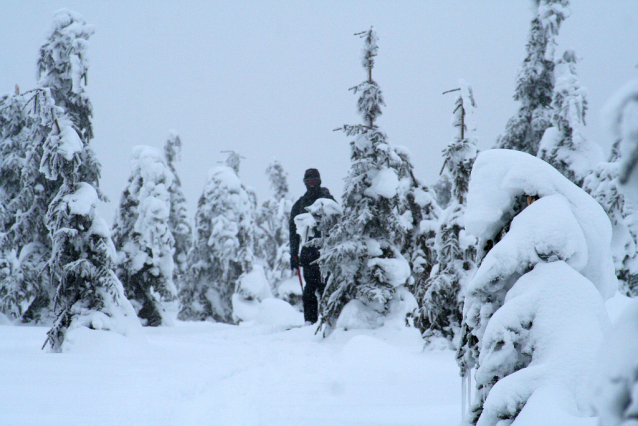 Ochránci přírody loví skialpinisty po celých Krkonoších