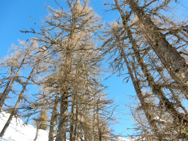 4 skialpové túry u Hofpürglhütte v Gosaukamm / Dachstein