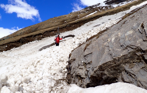 Recco vyhledávač žije