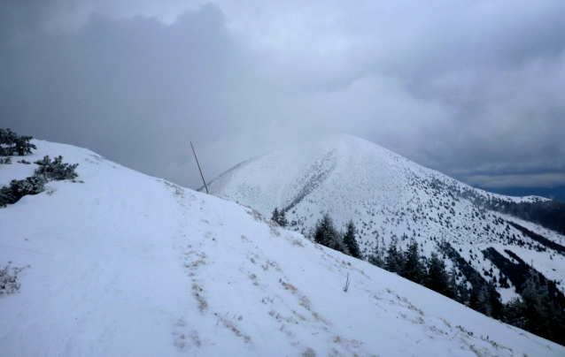 Malá Fatra na sněžnicích se psem a stanem