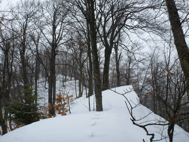 Malá Fatra: Krivánska a Lúčanská Fatra