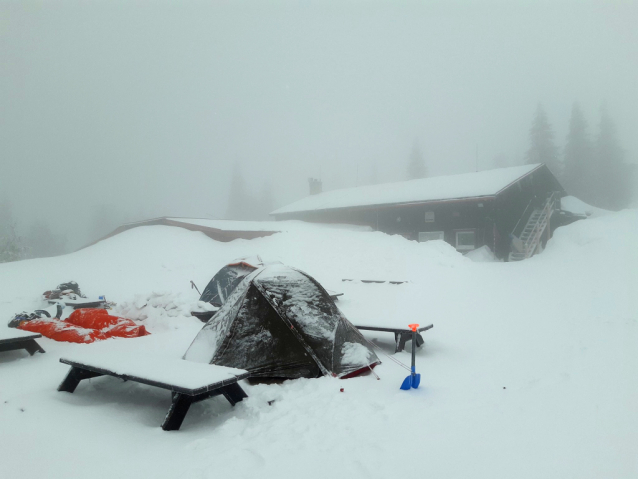 Malá Fatra na sněžnicích se psem a stanem