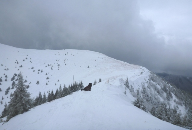 Malá Fatra: Krivánska a Lúčanská Fatra