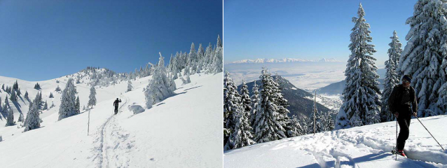 Veľká Fatra: Krížna, Ostredok, Ploská