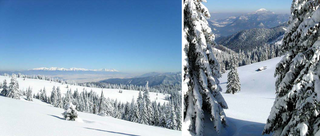 Veľká Fatra: Krížna, Ostredok, Ploská