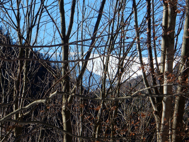 Veľká Fatra: Krížna, Ostredok, Ploská