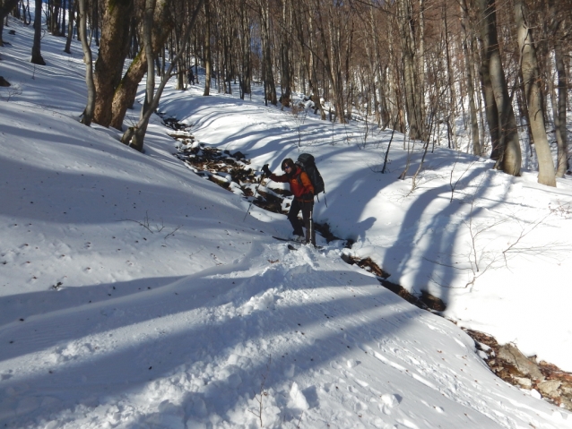 Veľká Fatra: Krížna, Ostredok, Ploská