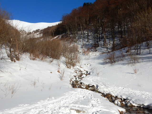 Veľká Fatra: Krížna, Ostredok, Ploská