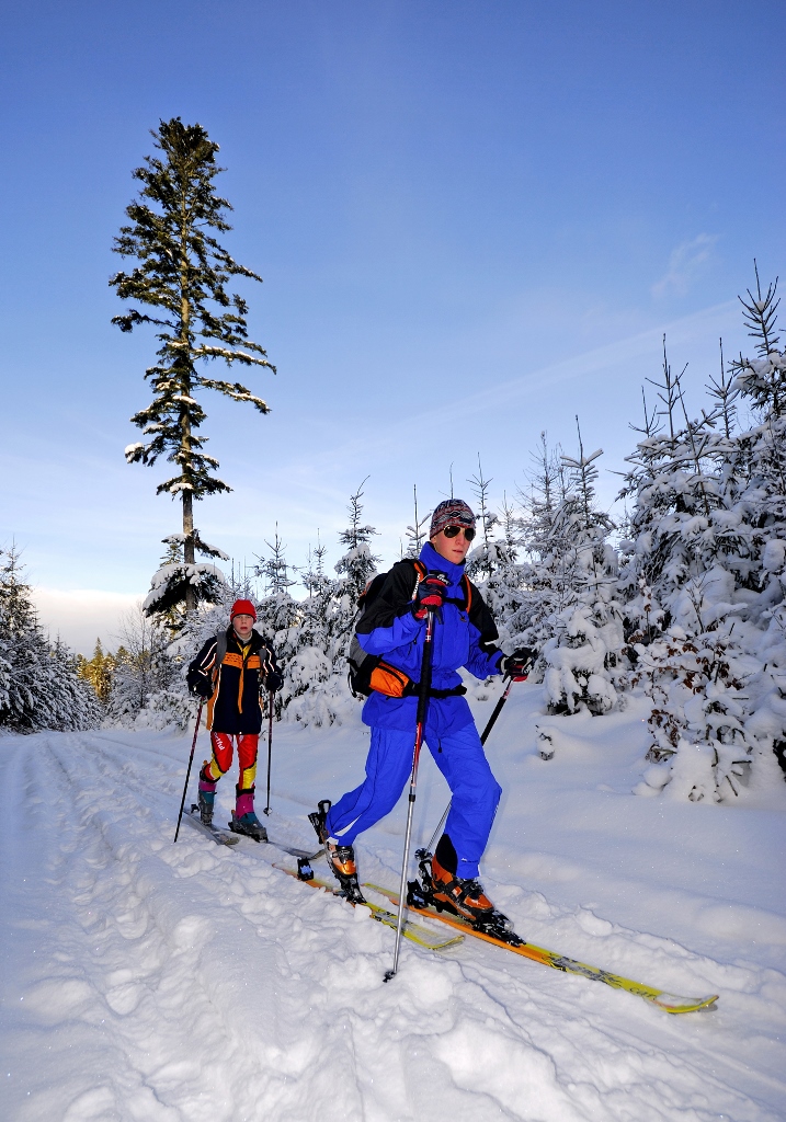 Pribylina: skiatouring a okolie.