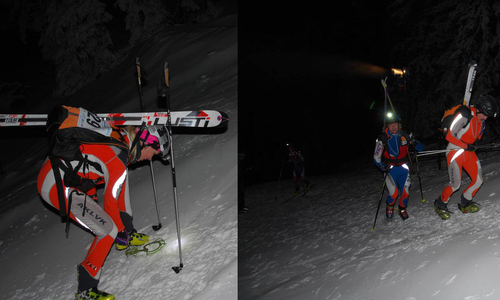 Noc tuleních pásů 2014 Noc tuleních pásů 2014