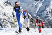 Světový pohár ve skialpinismu Světový pohár ve skialpinismu