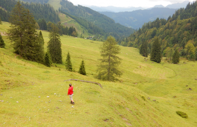 Salcburská salašnická cesta / Salzburger Almenweg