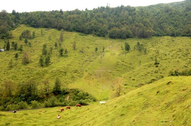 Salcburská salašnická cesta / Salzburger Almenweg