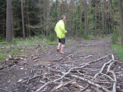 Škola běsého bohání VI.: Zpátky do lavic!