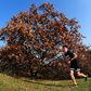 Králický půlmaraton ozdobily rekordy Králický půlmaraton ozdobily rekordy