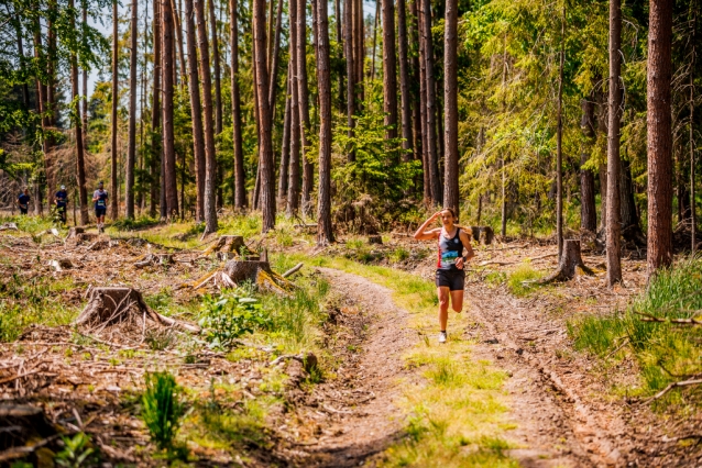 Pravý lesní trail na Brdském půlmaratonu