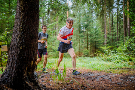 Brdský půlmaraton po lesních cestách, trailech i lučních stezkách