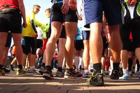 Jaký je význam proteinů v regeneraci a budování svalů? Jaký je význam proteinů v regeneraci a budování svalů?