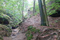 Kokořínské roklinky posedmé Kokořínské roklinky posedmé