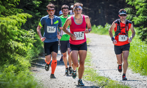 Dolní Morava, báječný trail po hřbetu Králického Sněžníku Dolní Morava, báječný trail po hřbetu Králického Sněžníku
