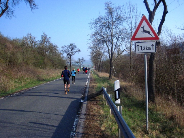 Kyffhäuser Bergmarathon – Zhulený horský maraton?